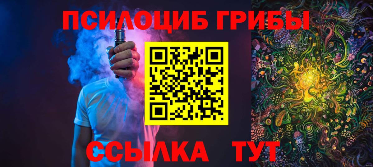 Спасск-Дальний  Галлюциногенные грибы Cubensis  Вход с VPN 