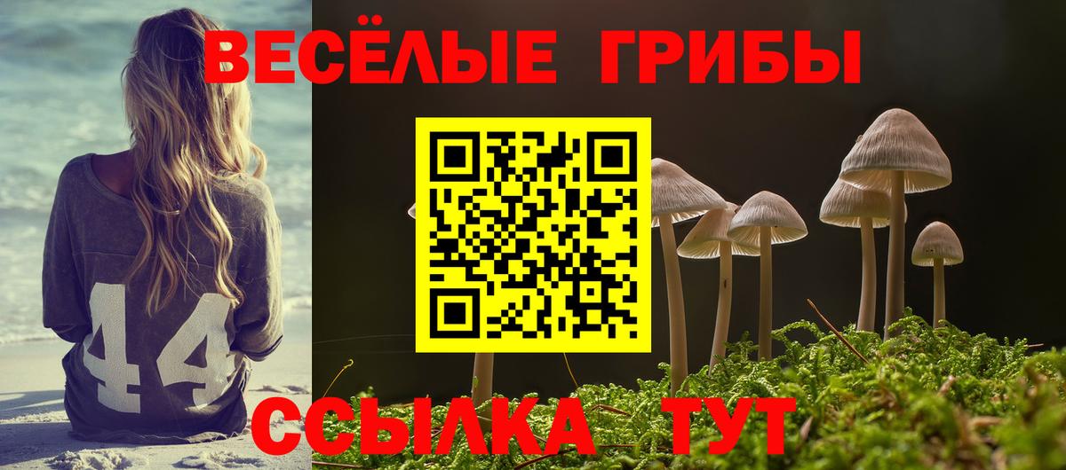 Галлюциногенные грибы мицелий Спасск-Дальний